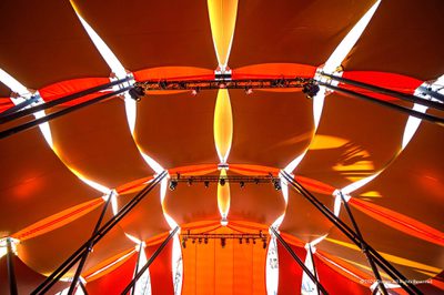 Disney The Lion King - Demountable Canopy Created By Base Structures