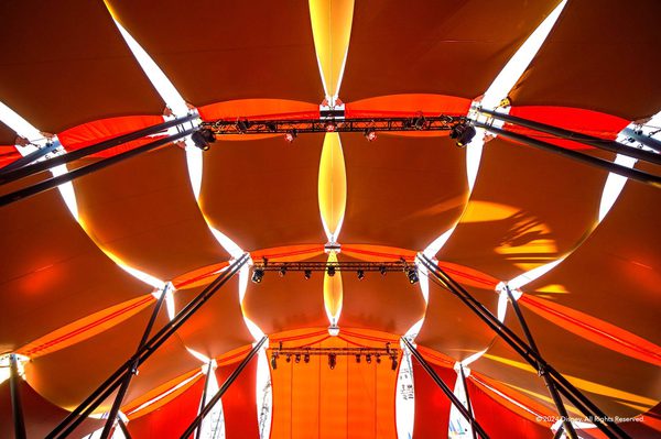 Disney The Lion King - Demountable Canopy Created By Base Structures